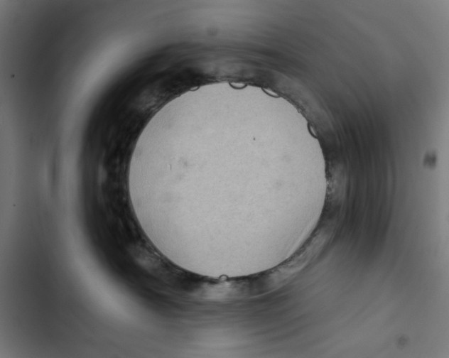 X0000102500430200809051350