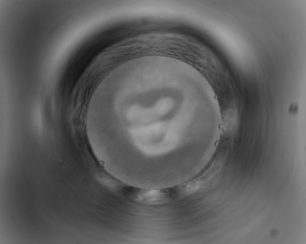 X0000102500431200809051350