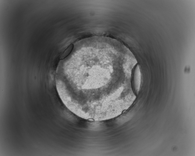 X0000102500432200809051350