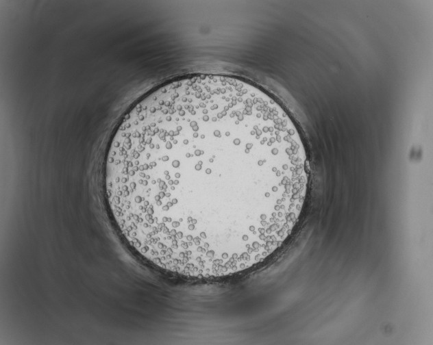 X0000102500433200809051349