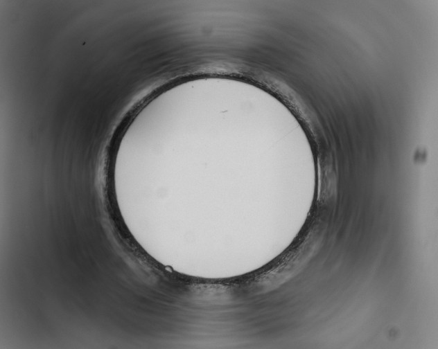 X0000102500435200809051349