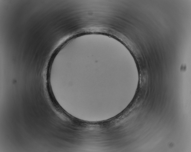 X0000102500438200809051349