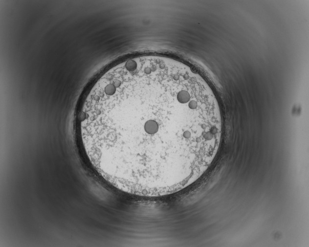 X0000102500439200809051349