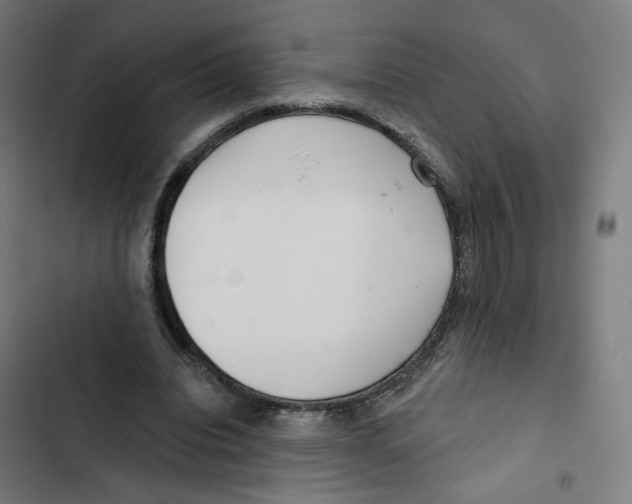 X0000102500440200809051349