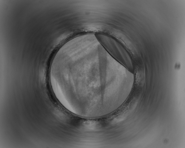 X0000102500444200809051349