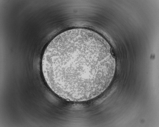 X0000102500445200809051349