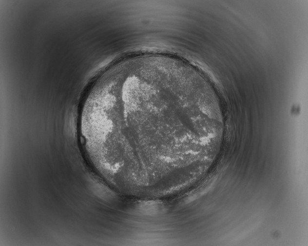 X0000102500446200809051349