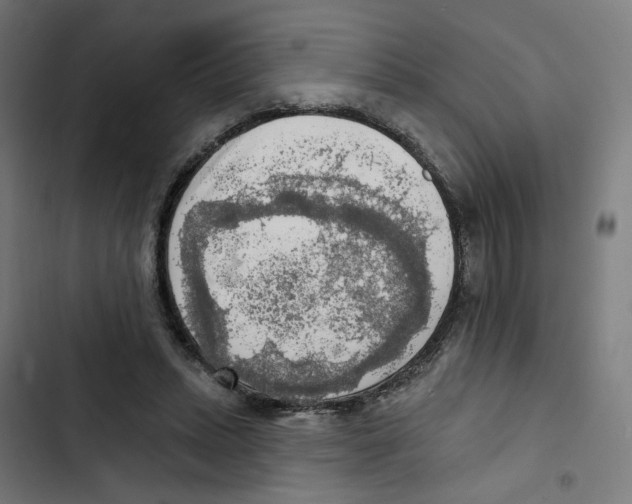 X0000102500447200809051349