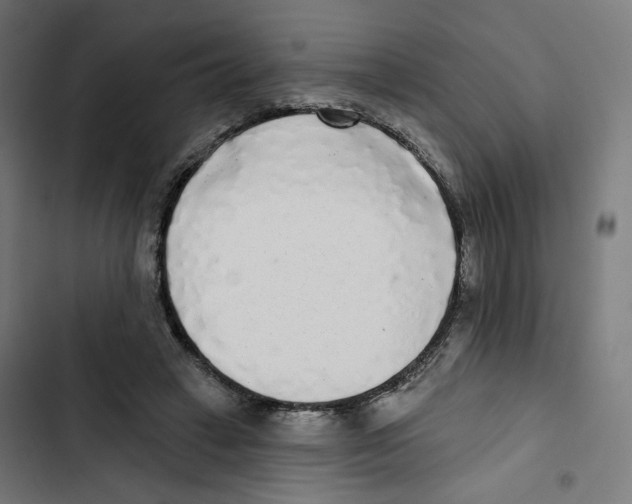 X0000102500449200809051349