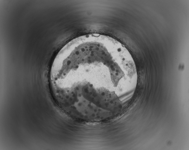 X0000102500450200809051349