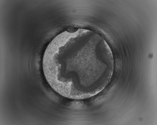 X0000102500451200809051349