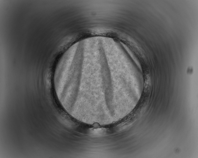 X0000102500452200809051349