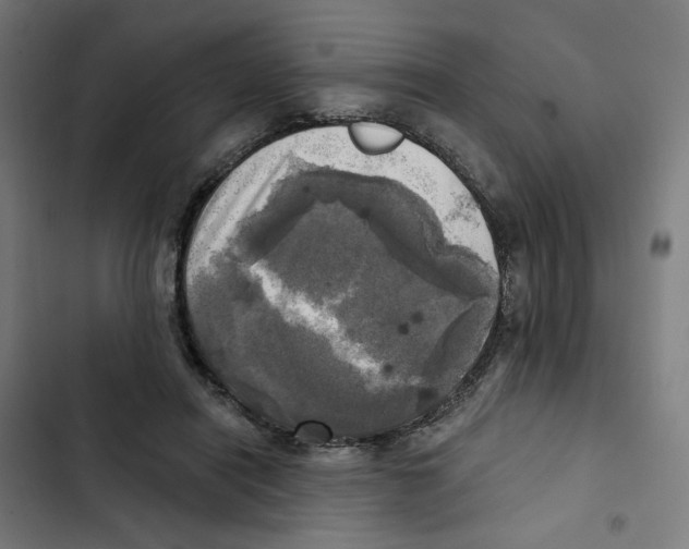 X0000102500454200809051349