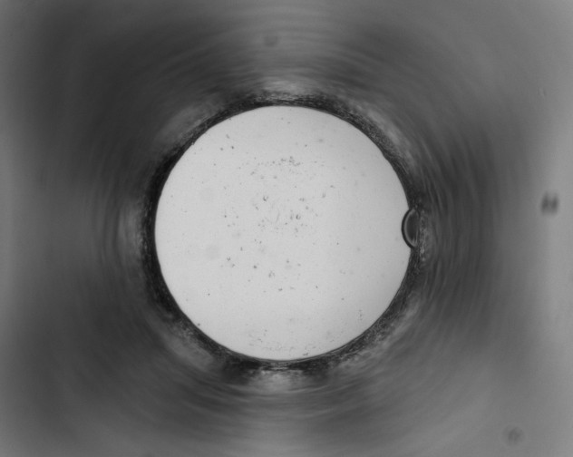 X0000102500455200809051349