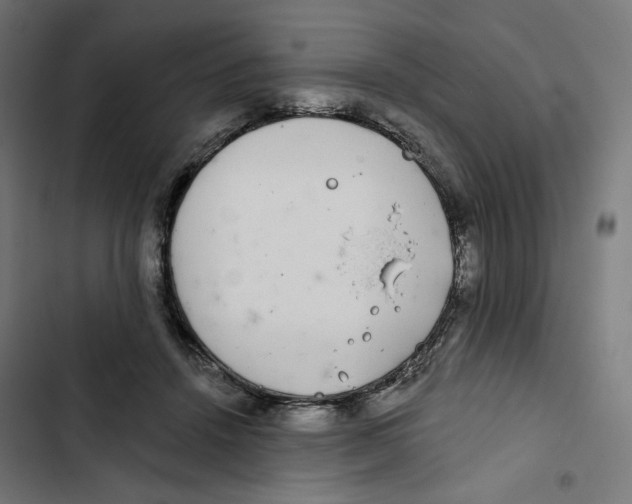 X0000102500456200809051349