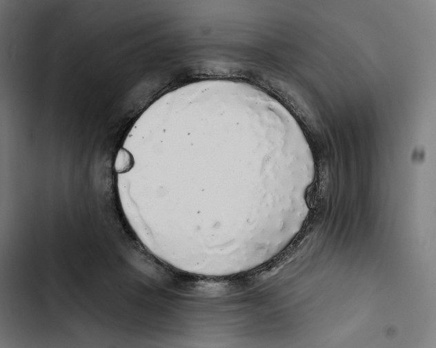 X0000102500457200809051349