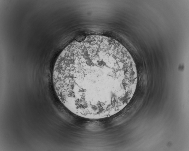 X0000102500459200809051349