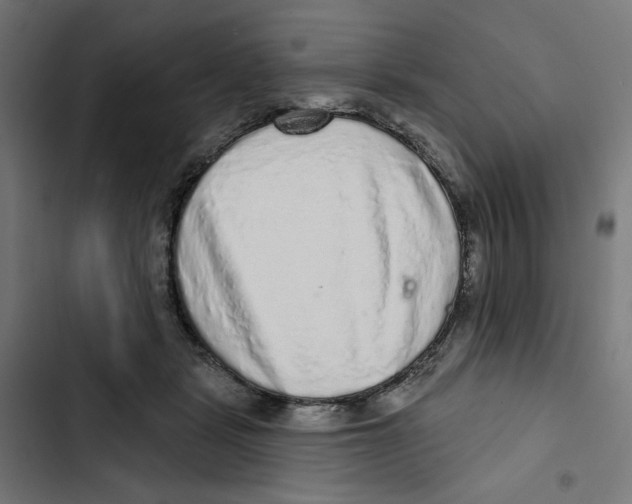 X0000102500461200809051349