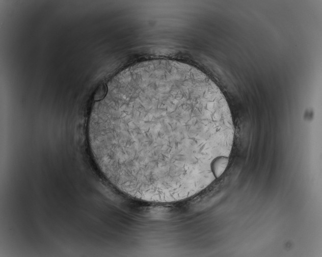 X0000102500462200809051349
