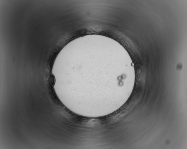 X0000102500463200809051349