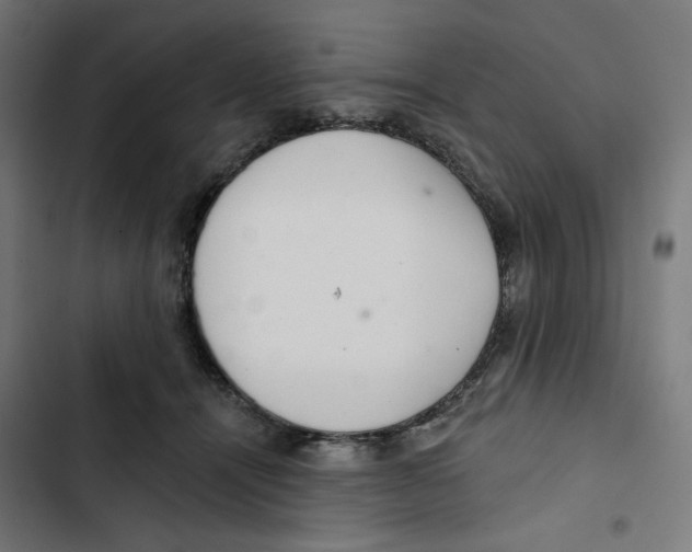 X0000102500464200809051349