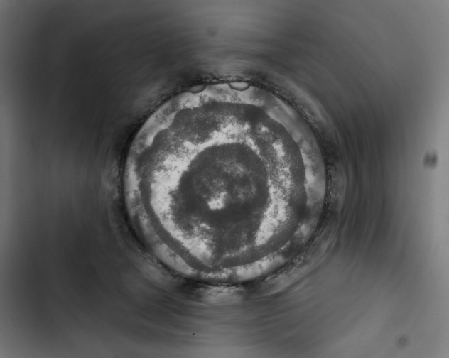 X0000102500465200809051349