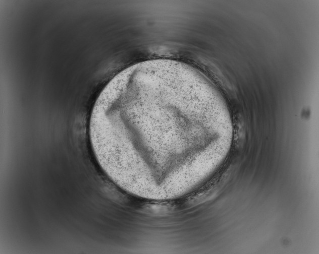 X0000102500466200809051349