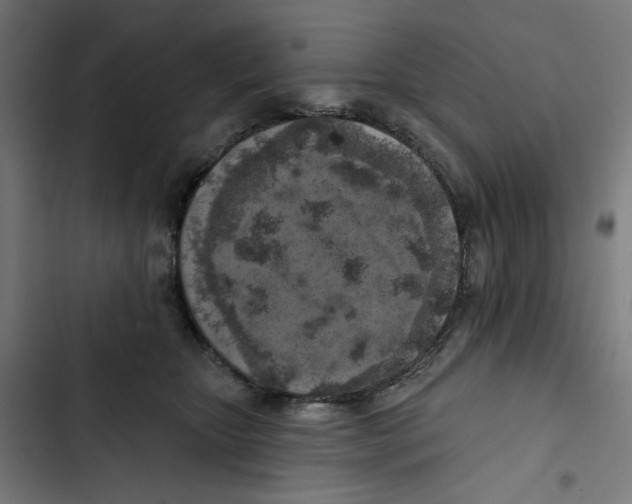 X0000102500467200809051349