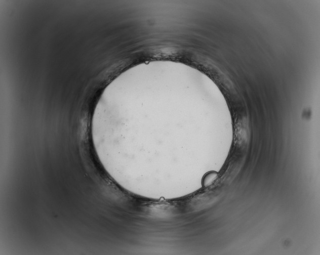 X0000102500468200809051349