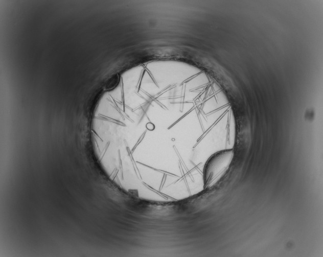 X0000102500469200809051349