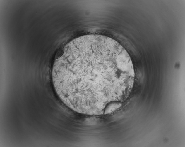 X0000102500470200809051349