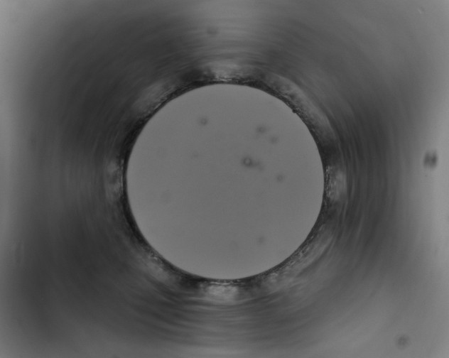 X0000102500471200809051349