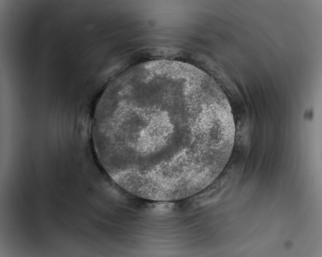 X0000102500474200809051349