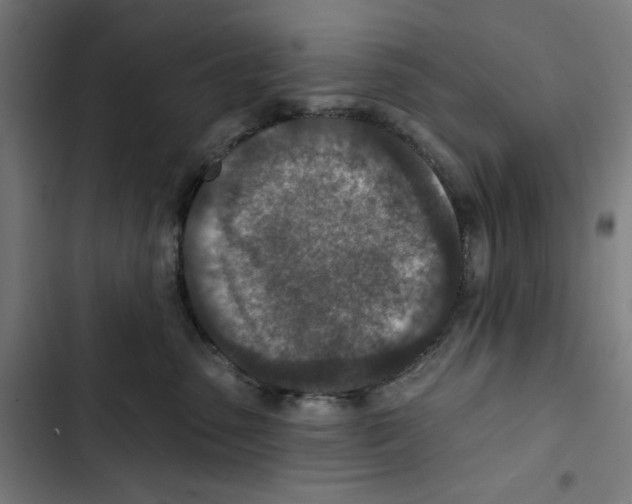 X0000102500475200809051349