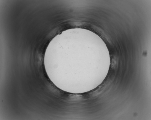 X0000102500476200809051350