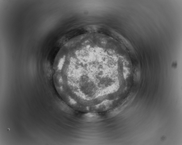 X0000102500477200809051350