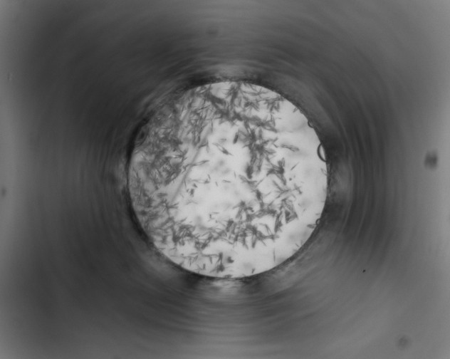 X0000102500478200809051350