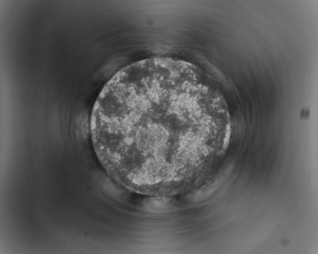 X0000102500479200809051350