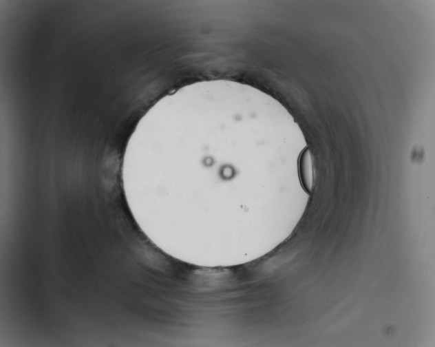 X0000102500480200809051350