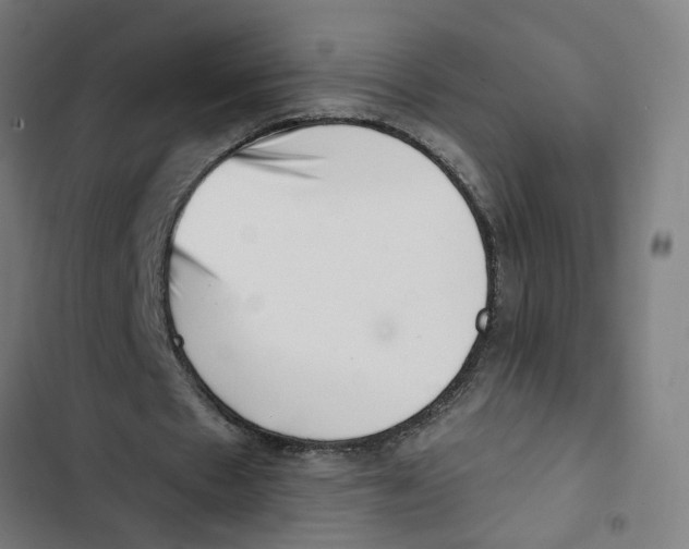 X0000102500481200809051349