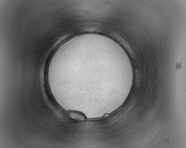 X0000102500482200809051349