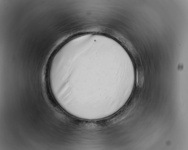 X0000102500483200809051349