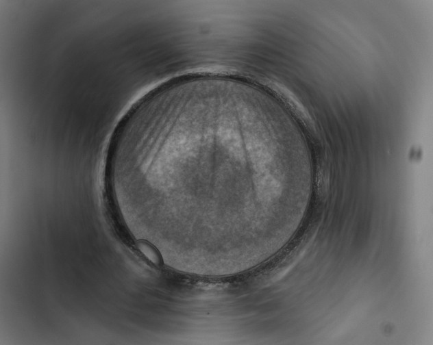 X0000102500484200809051349