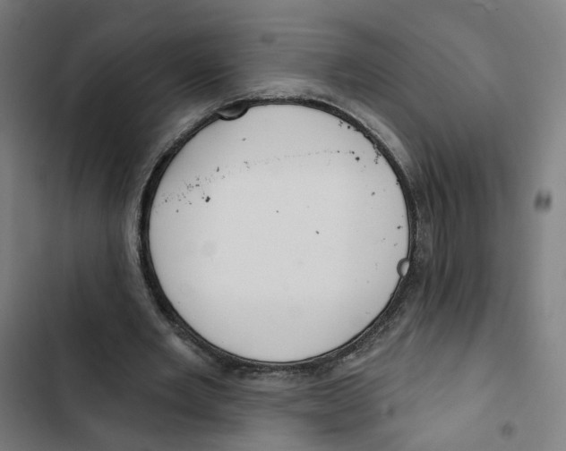 X0000102500485200809051349