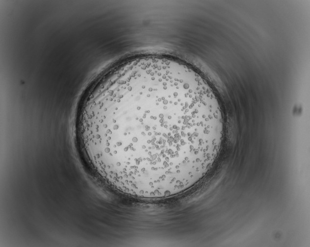 X0000102500486200809051349