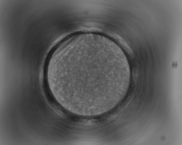 X0000102500488200809051349