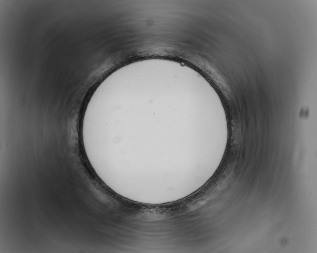 X0000102500489200809051349