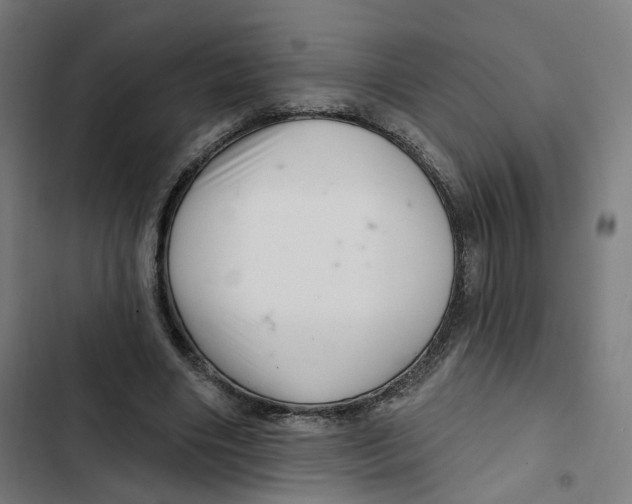 X0000102500490200809051349