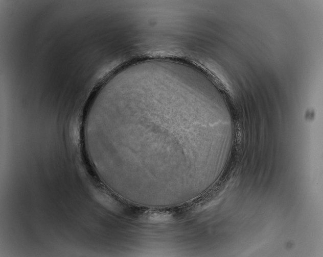 X0000102500491200809051349