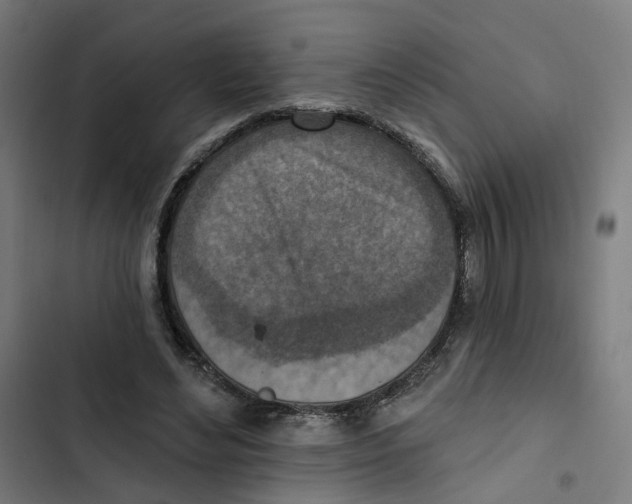 X0000102500492200809051349